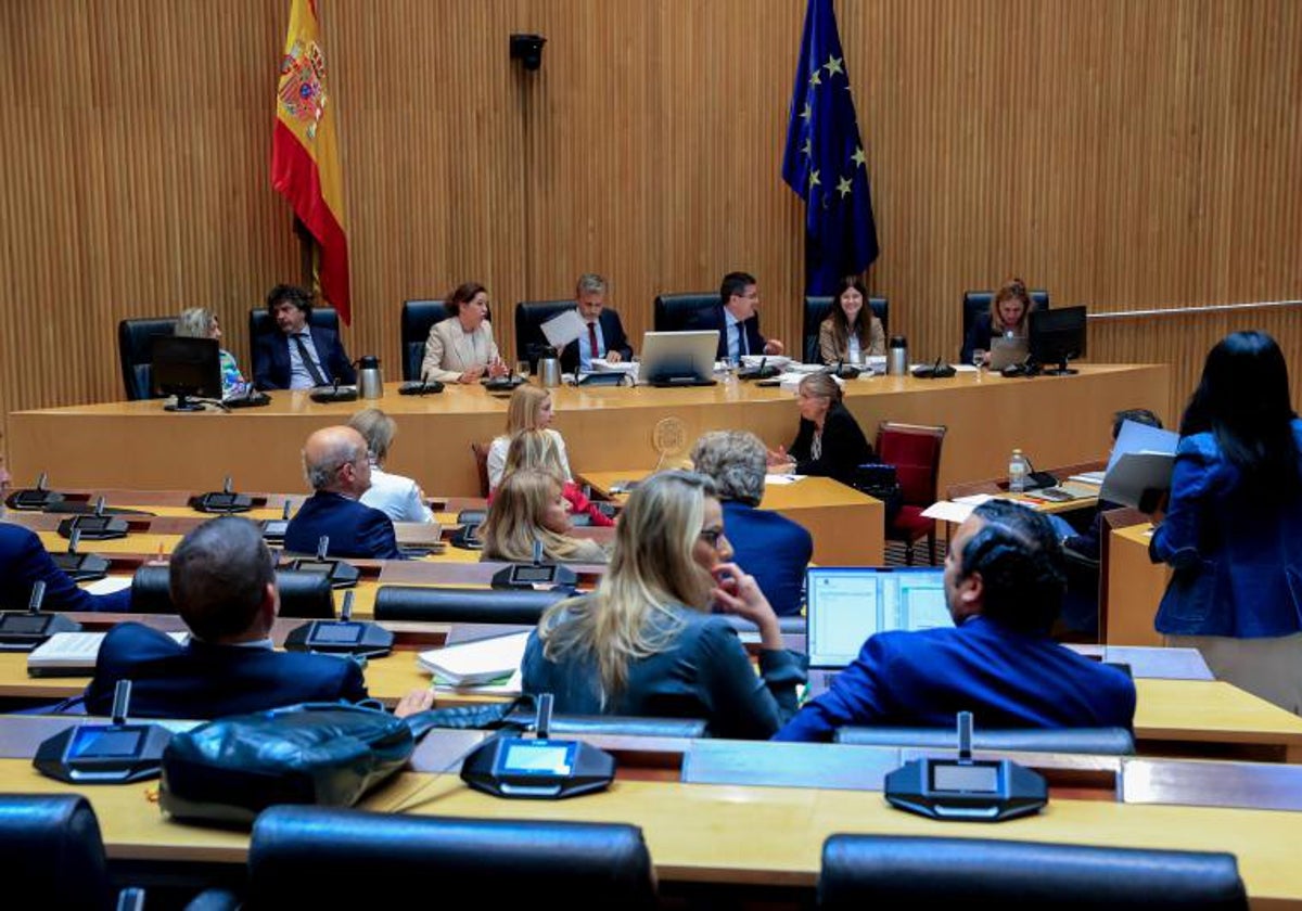La Comisión de Transportes, Movilidad y Agenda Urbana del Congreso de los Diputados donde este jueves se ha aprobado el proyecto de Ley por el Derecho a la Vivienda