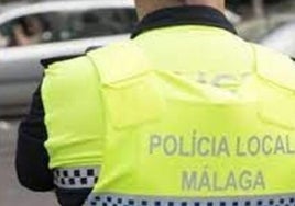Rescatan en Málaga 94 gallos, algunos con heridas y lesiones por ser utilizados en peleas