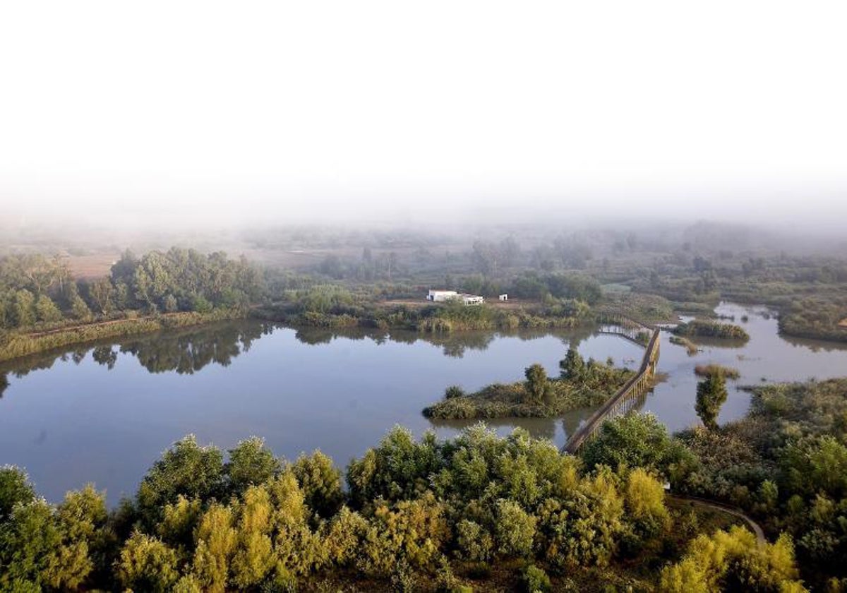 Imagen del corredor verde del Guadiamar, donde se produjo el vertido