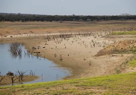 El dantesco paisaje que deja la sequía en Córdoba