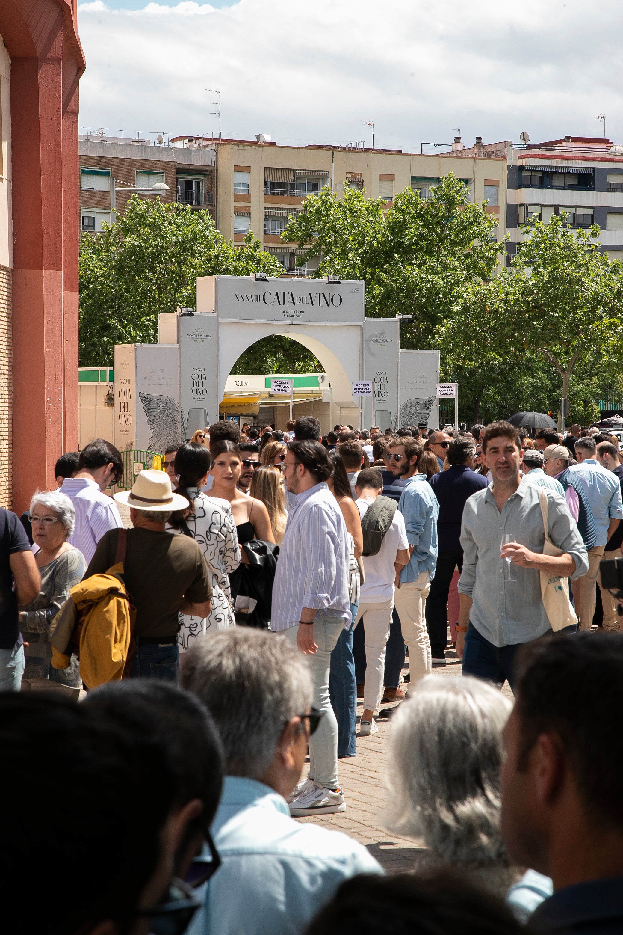 El lleno de la Cata del Vino de Córdoba este sábado, en imágenes