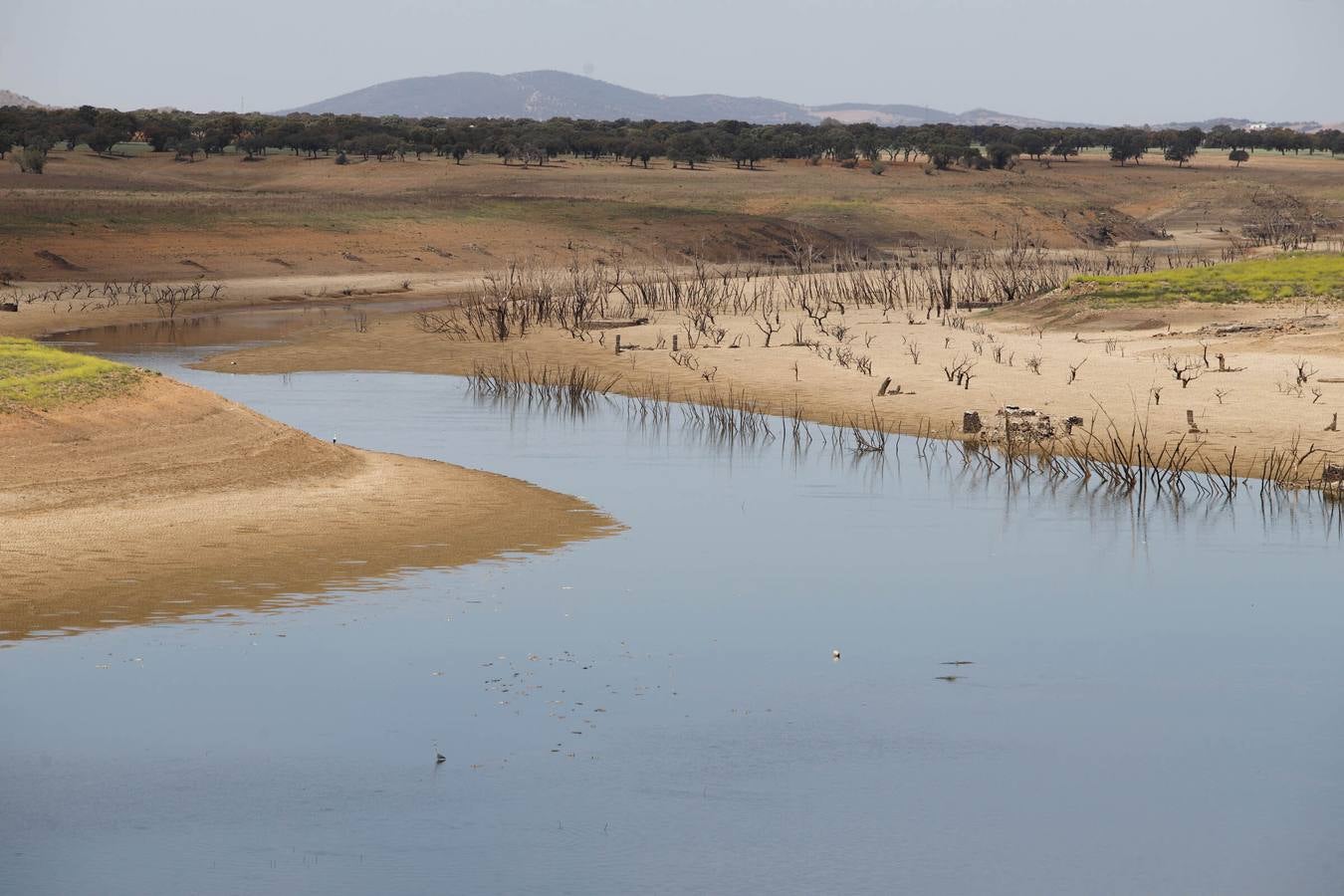 El impactante paisaje de sequía en los pantanos de Córdoba, en imágenes