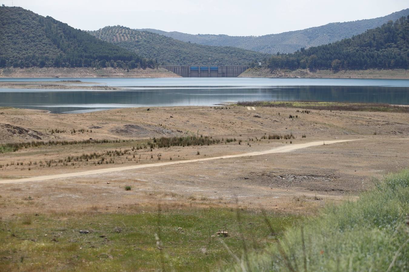 El impactante paisaje de sequía en los pantanos de Córdoba, en imágenes