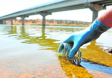 Los controles en La Colada ya advirtieron de la mala calidad del agua durante todo 2022