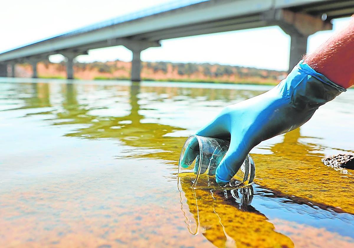 Imagen de archivo de la recogida de muestras de agua en el embalse de La Colada