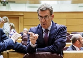 Sánchez y Feijóo se ven las caras en el Senado a un mes del 28M