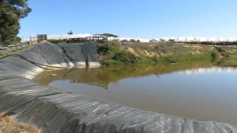El enfrentamiento entre el Gobierno y la Junta de Andalucía a cuenta de la nueva ley de regadíos en el entorno de Doñana va a más