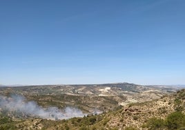 El Infoca lucha contra un incendio forestal declarado en la provincia de Granada