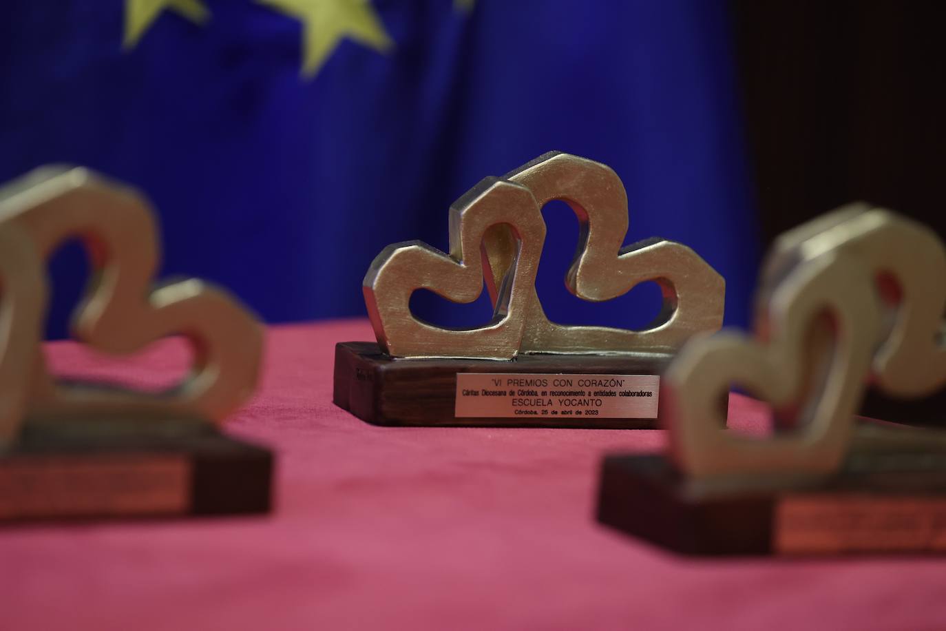 La entrega de los premios de Cáritas Córdoba, en imágenes