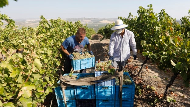 Hacienda publica la rebaja de módulos del IRPF para el campo, con una reducción general del 25%