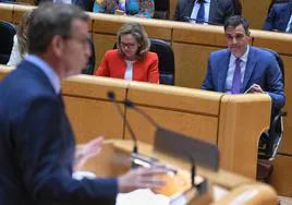 Pleno del Senado, en directo: última hora de Pedro Sánchez y Alberto Núñez Feijóo hoy