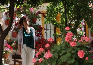 Patios de Córdoba 2023 | ¿Cuáles son los casas más singulares?