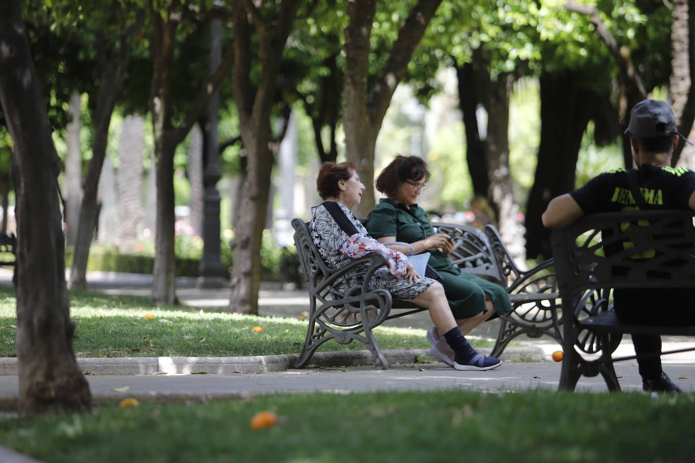 Córdoba bajo un sofocante calor en abril, en imágenes