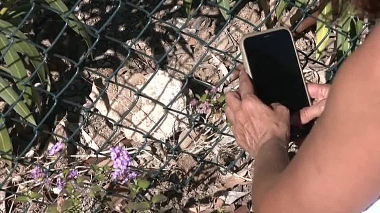 Encuentran más huesos de mujer en la finca en la que se encontró la calavera y una maleta