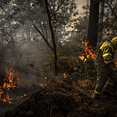 Galicia pone el foco de la lucha contra el fuego en los macroincendios