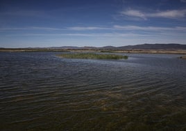 ABC Explica: Cómo el cambio climático ha cambiado el refranero