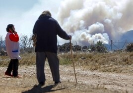 La Generalitat Valenciana vuelve a permitir quemar residuos agrícolas pero lo prohíbe a menos de 100 metros de terrenos forestales