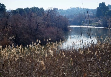¡Por el Tajo, por el paisaje y el medioambiente de Toledo!