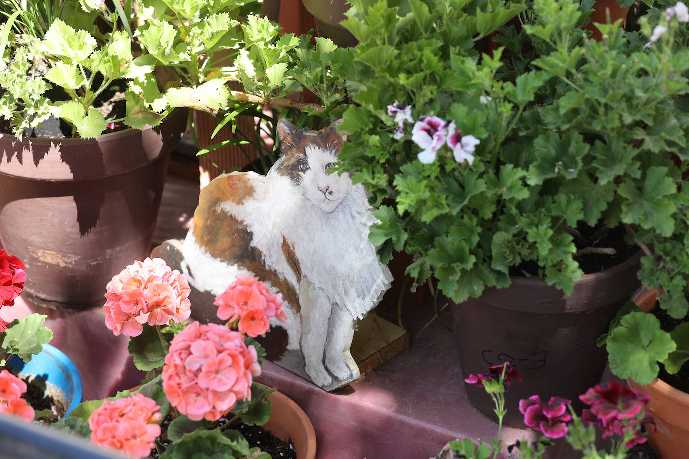 Las Cruces de Mayo premiadas en Córdoba, en imágenes