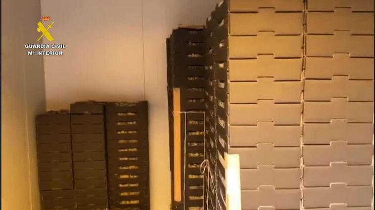 Intervenidos en Madrid un total de 30 kilos de cocaína ocultos en cajas de fruta