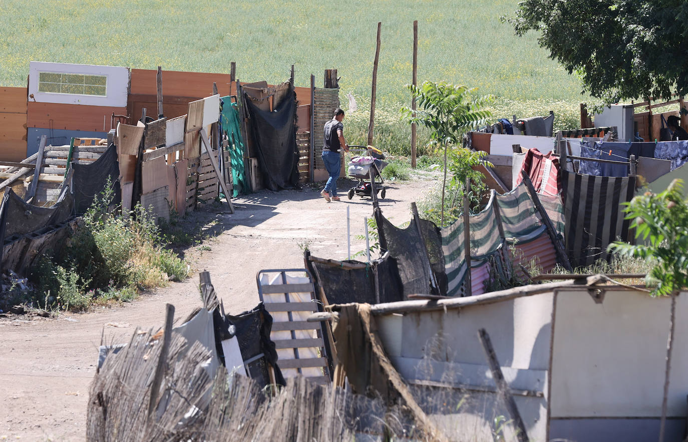 El poblado de chabolas del camino de Carbonell en Córdoba, en imágenes
