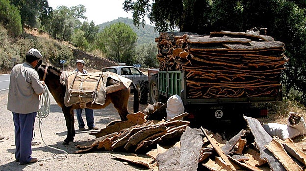 Carga del corcho para su transporte