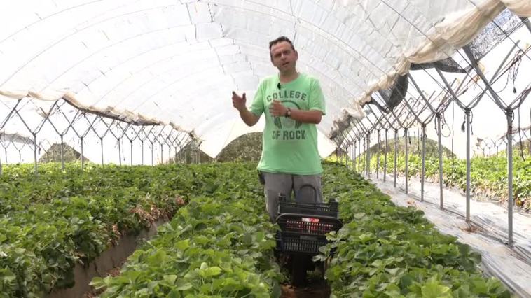 "Que nos den el agua o una alternativa"