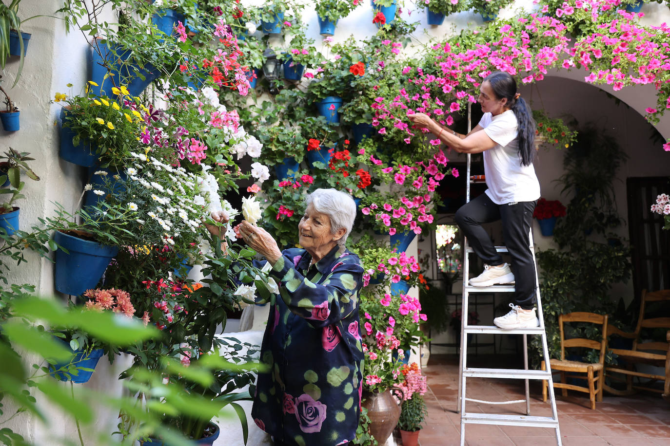Los preparativos de los Patios de Córdoba 2023, en imágenes