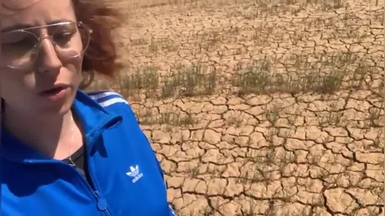 Agroinfluencers, al rescate del campo