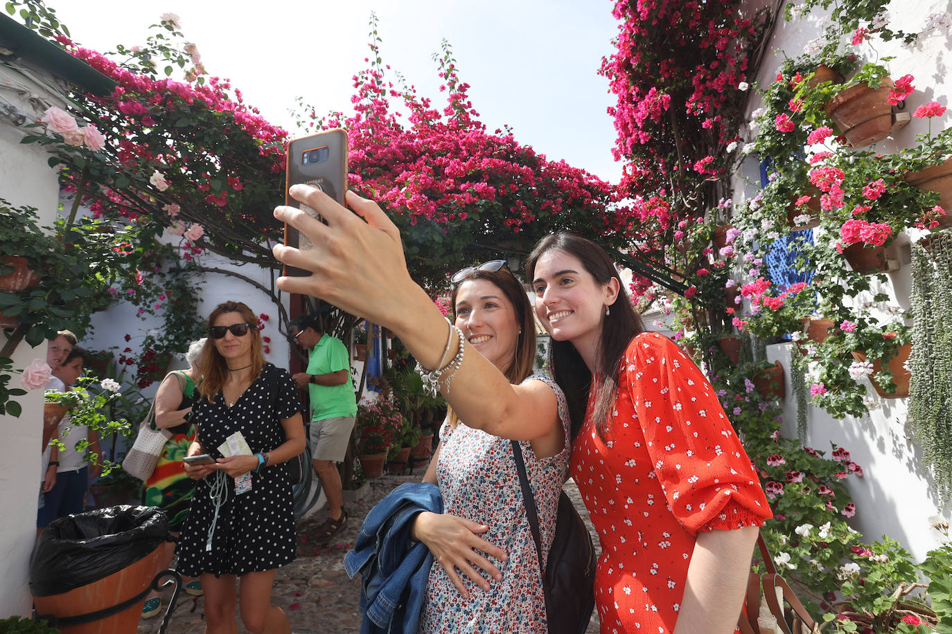 Patios Córdoba 2023 | La belleza antigua de la ruta de Santa Marina y San Agustín, en imágenes