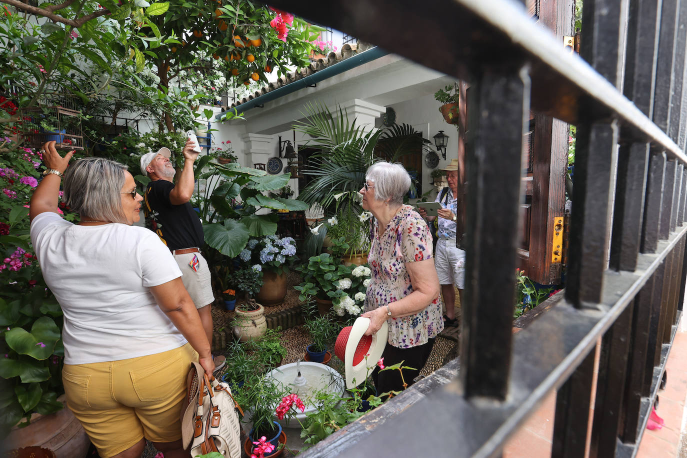 Patios Córdoba 2023 | La belleza antigua de la ruta de Santa Marina y San Agustín, en imágenes