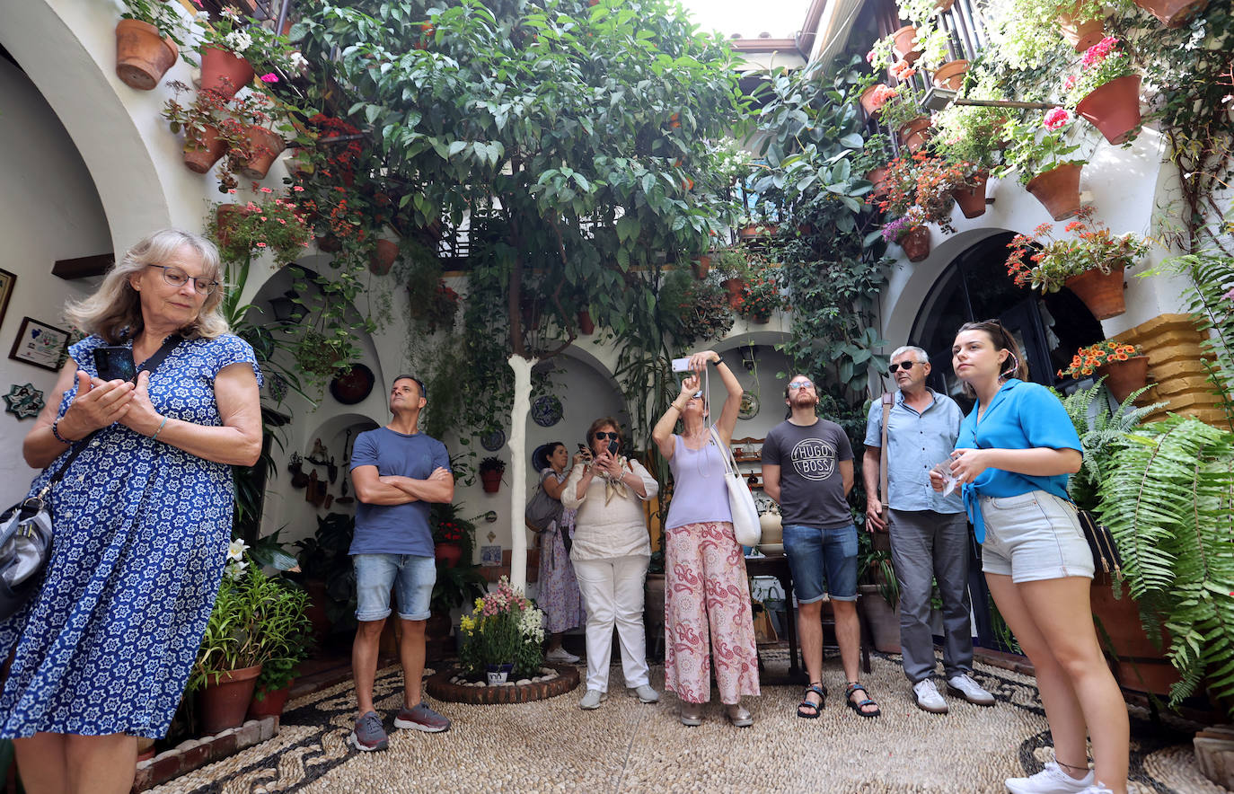 Patios Córdoba 2023 | La belleza antigua de la ruta de Santa Marina y San Agustín, en imágenes