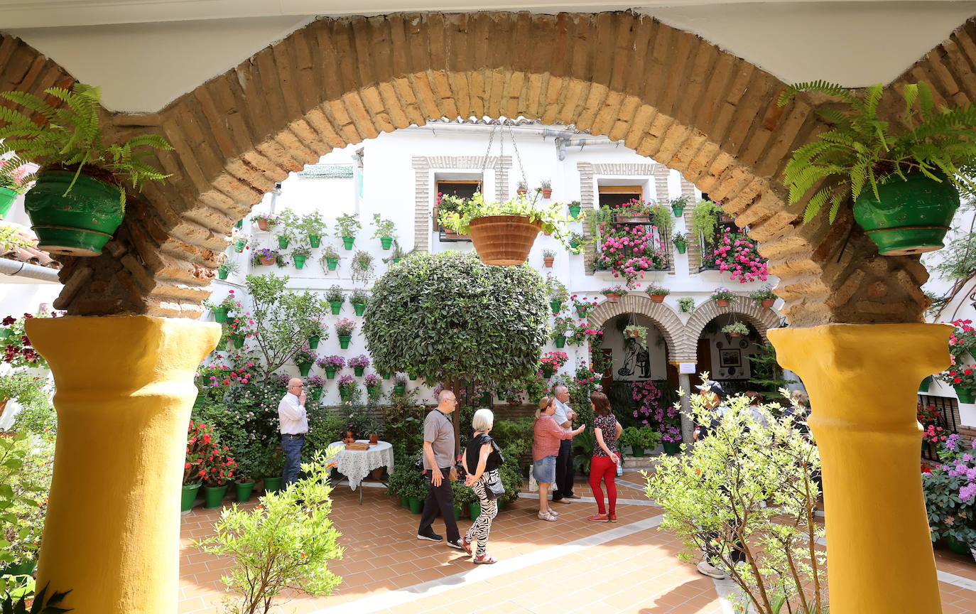 Patios Córdoba 2023 | La belleza antigua de la ruta de Santa Marina y San Agustín, en imágenes