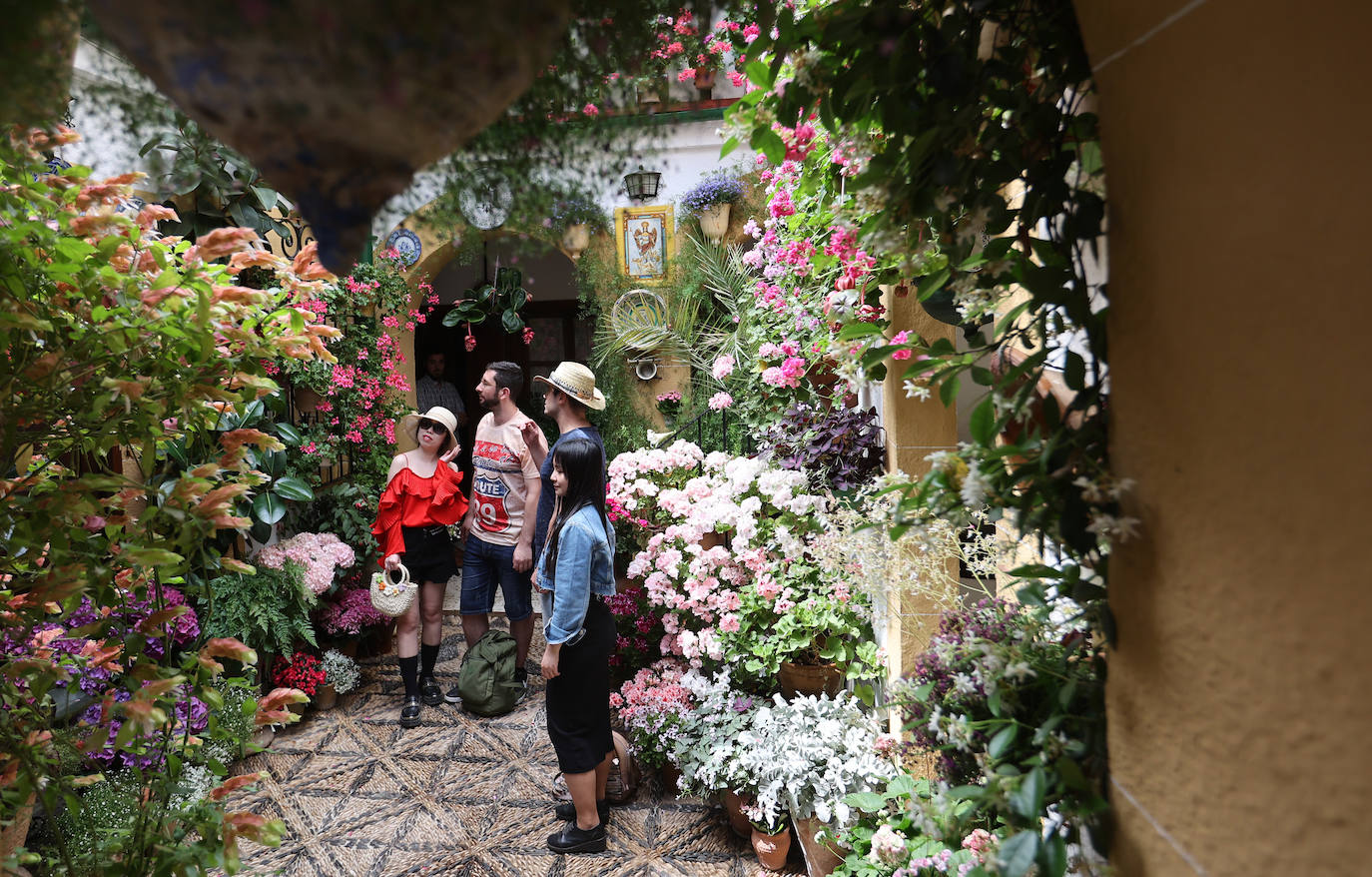 Patios Córdoba 2023 | La belleza antigua de la ruta de Santa Marina y San Agustín, en imágenes