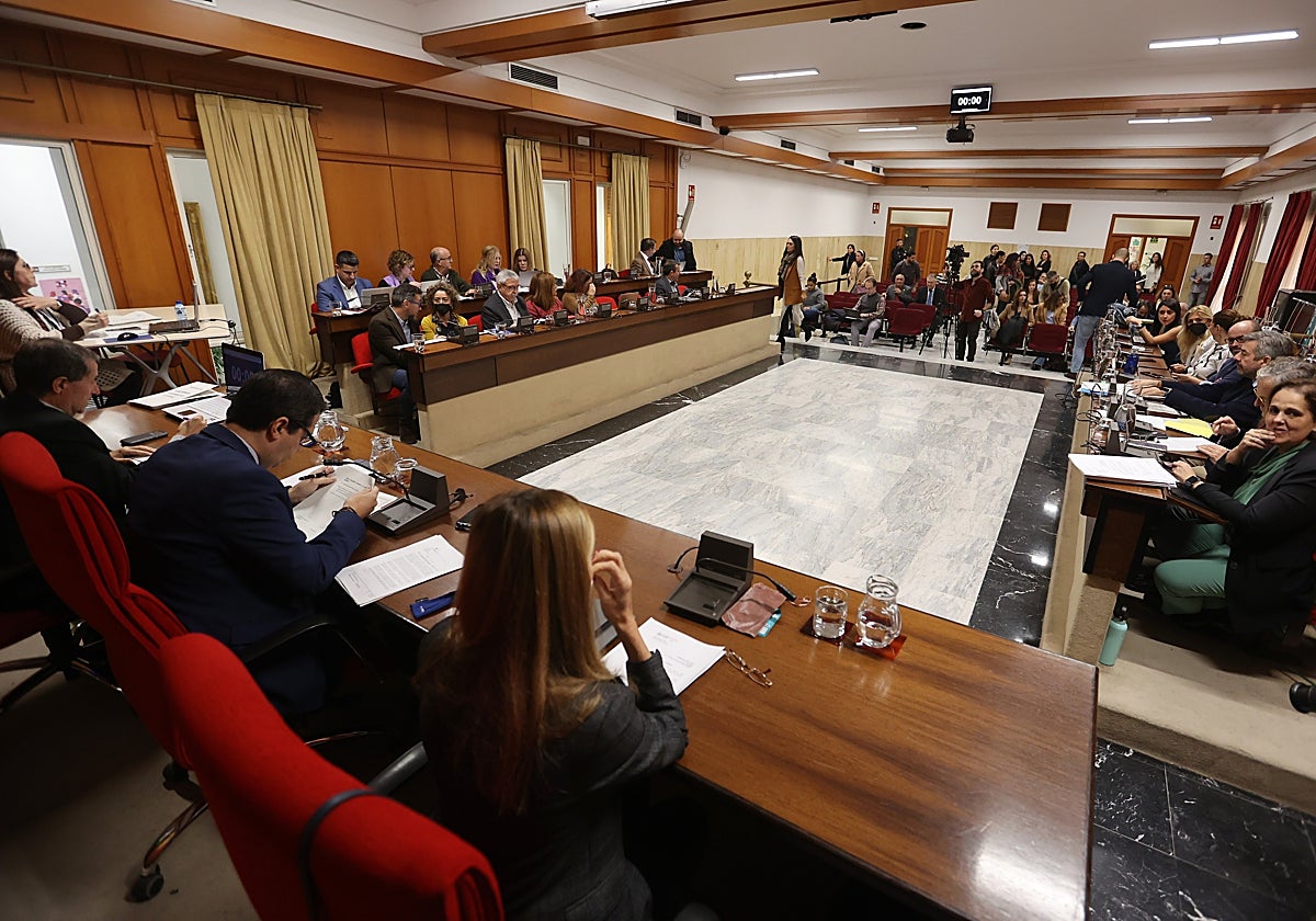 Salón de lenos del Ayuntamiento de Córdoba