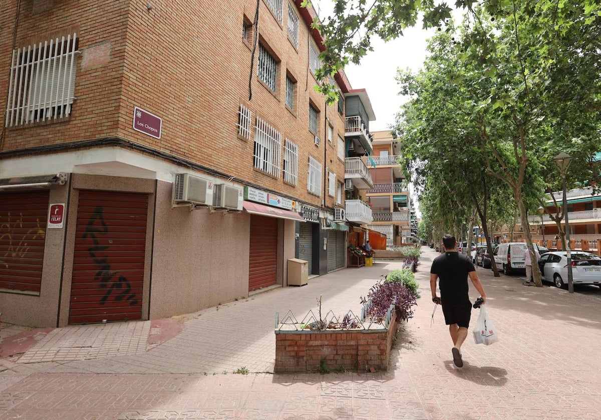 Calle Los Chopos en Santa Rosa próxima a donde sucedieron los hechos este pasado abirl