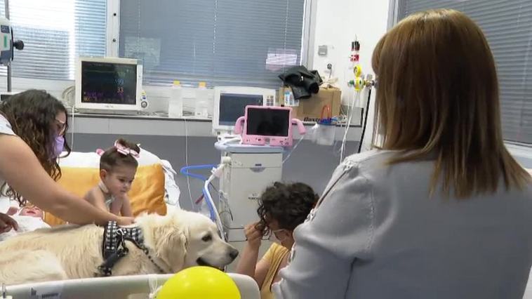 La visita de cuatro patas que genera sonrisas en la UCI pediátrica del hospital 12 de Octubre