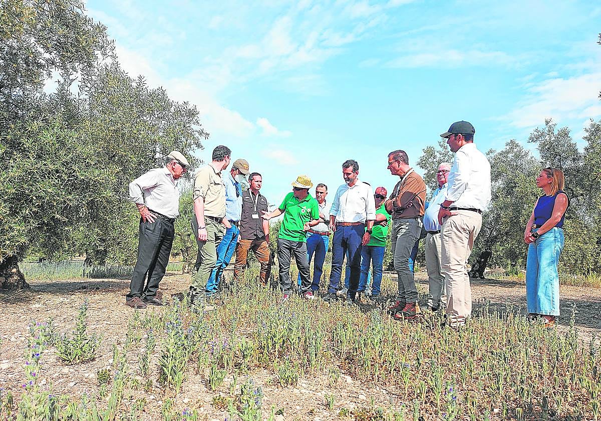 El consejero de la Junta, junto a agricultores y cazadores en Aguilar de la Frontera