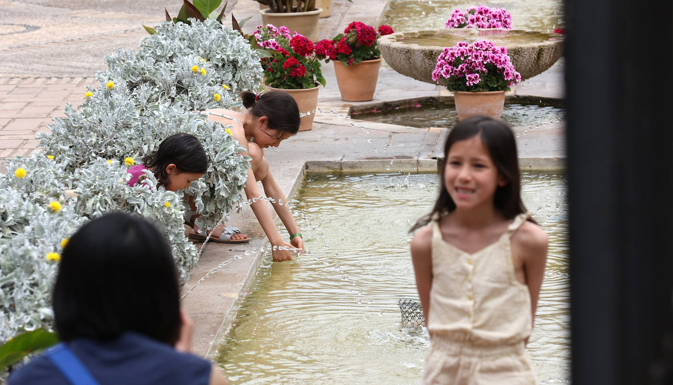 Patios Córdoba 2023 | El Palacio de Viana, en imágenes