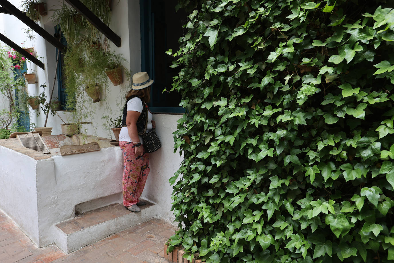 Patios Córdoba 2023 | El Palacio de Viana, en imágenes