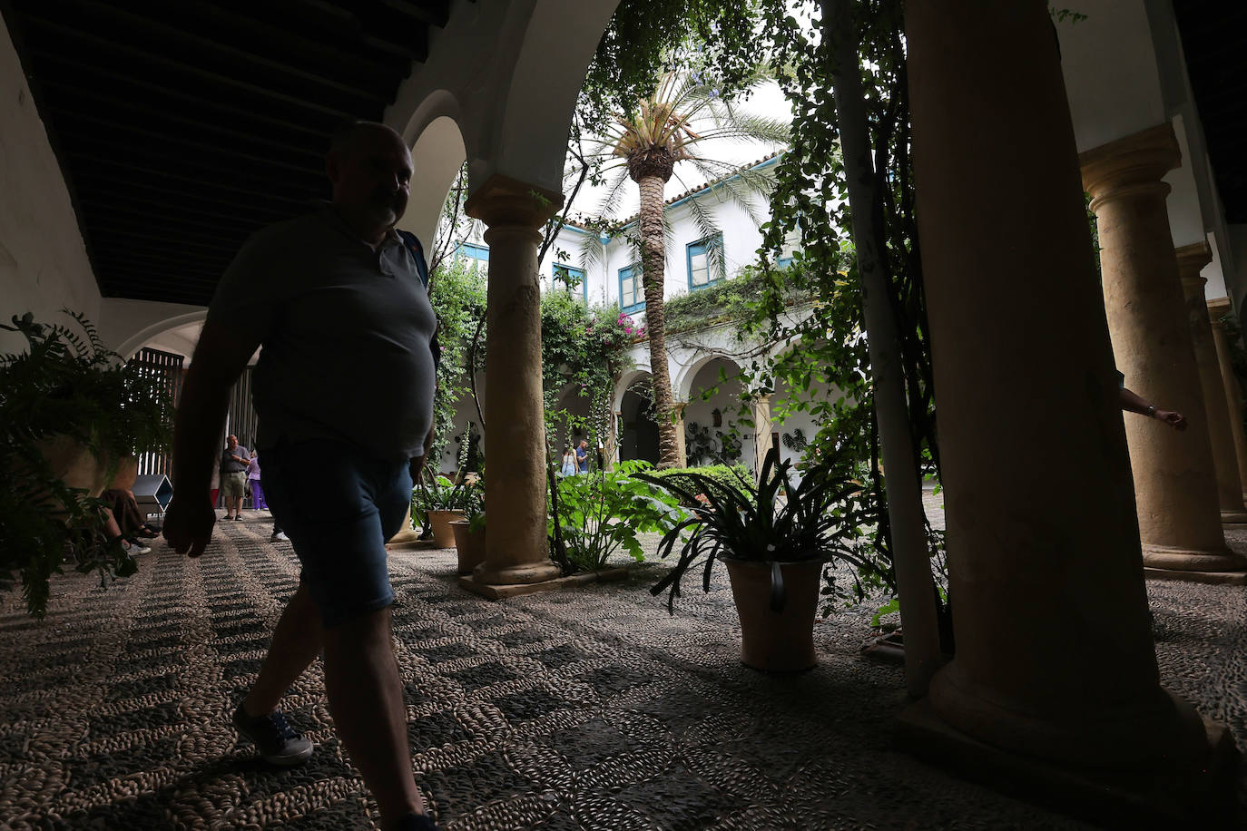 Patios Córdoba 2023 | El Palacio de Viana, en imágenes