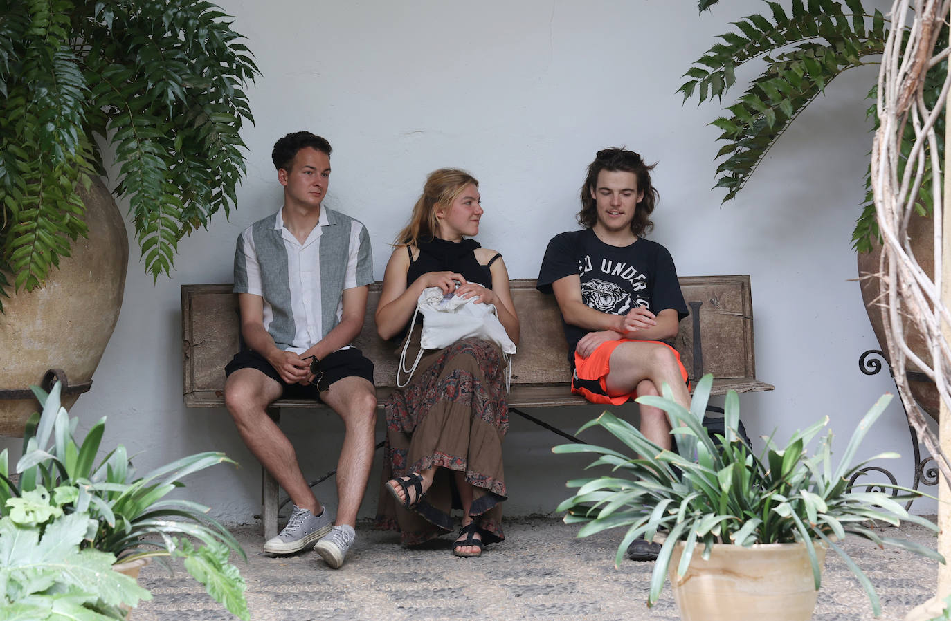 Patios Córdoba 2023 | El Palacio de Viana, en imágenes