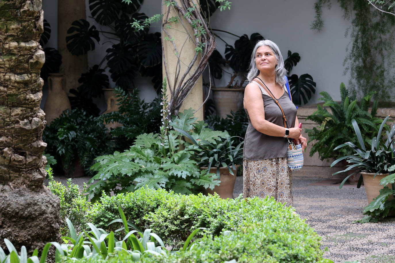 Patios Córdoba 2023 | El Palacio de Viana, en imágenes