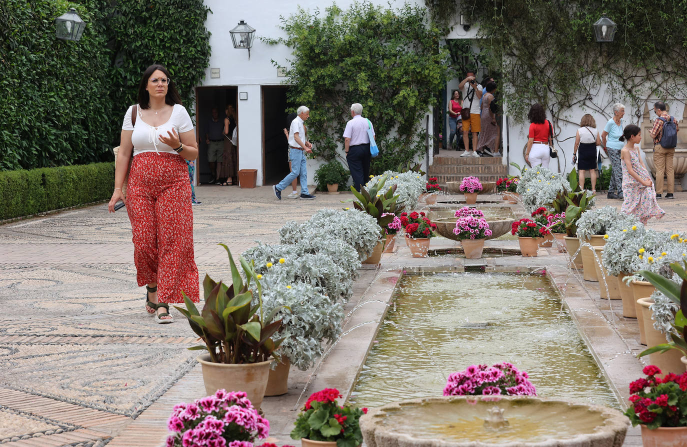 Patios Córdoba 2023 | El Palacio de Viana, en imágenes