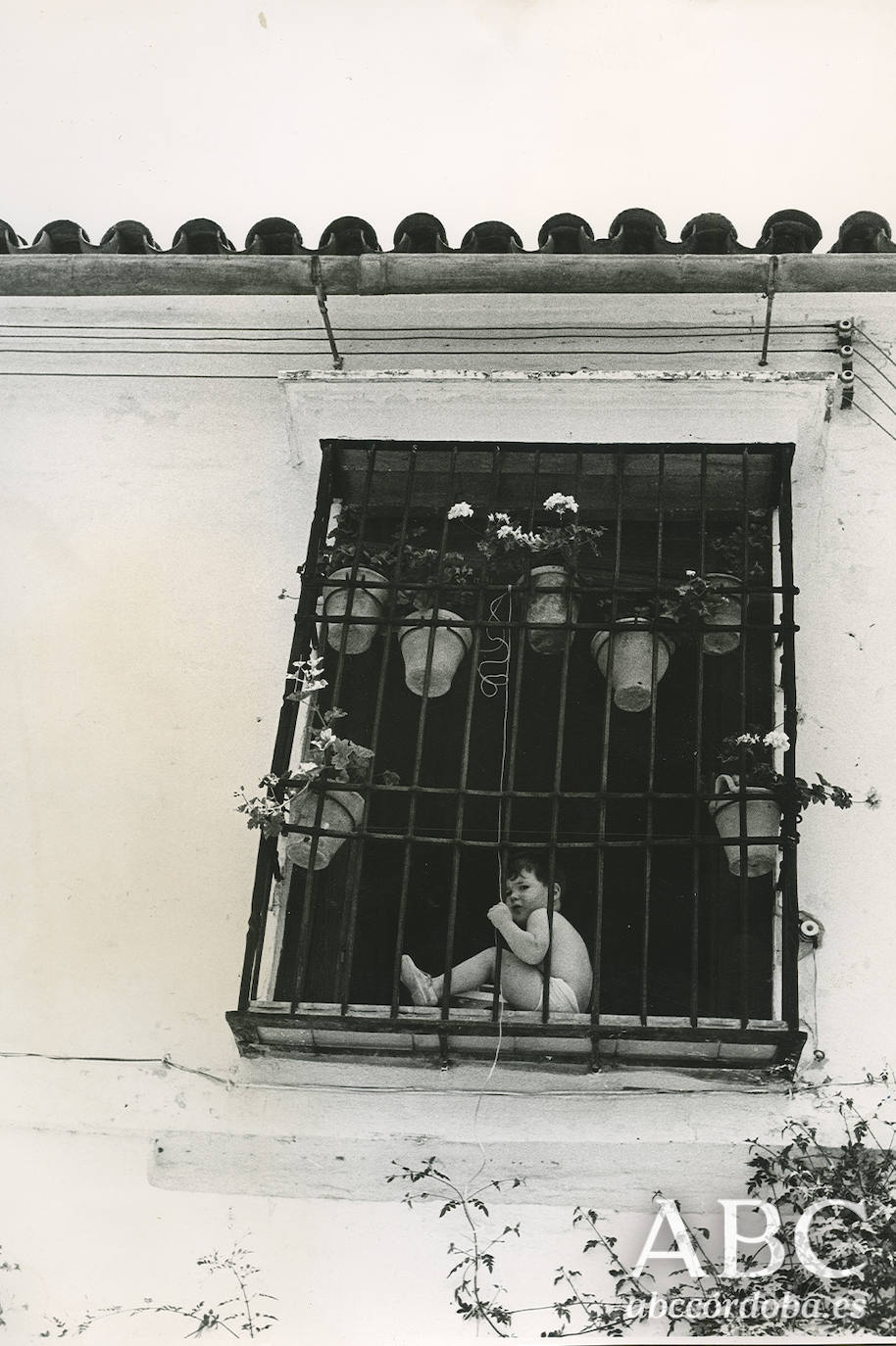 Así eran los Patios de Córdoba hace un siglo, en imágenes