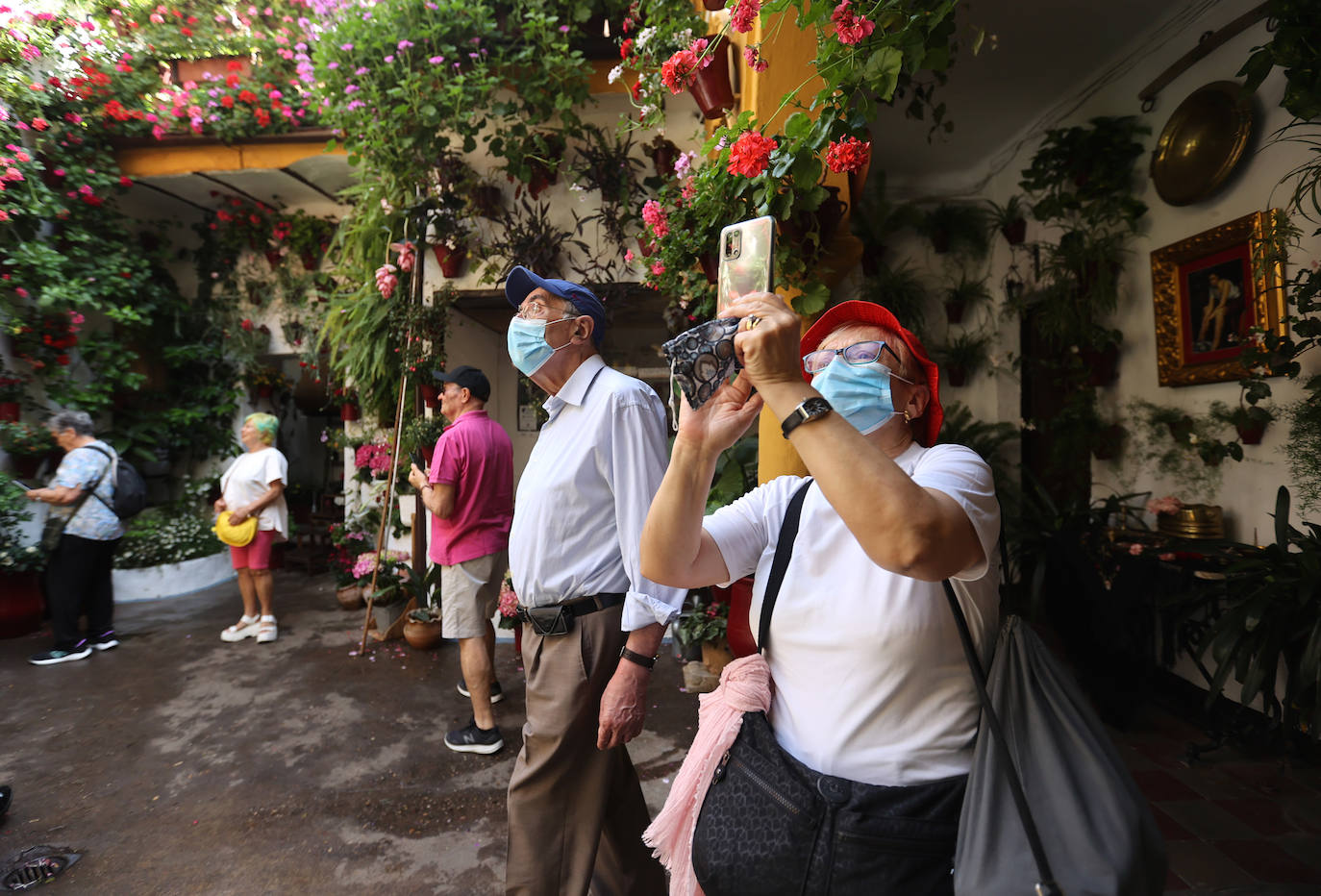 Patios de Córdoba 2023 | La exuberante ruta de San Basilio, en imágenes