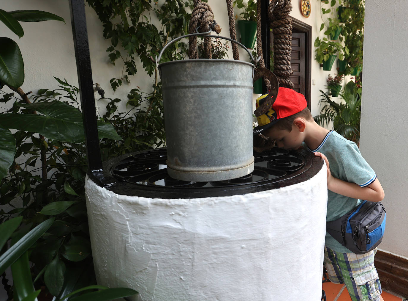 Patios de Córdoba 2023 | La exuberante ruta de San Basilio, en imágenes