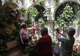 Patios de Córdoba 2023 | Cuando los propietarios 'educan' a los visitantes para enseñar la fiesta