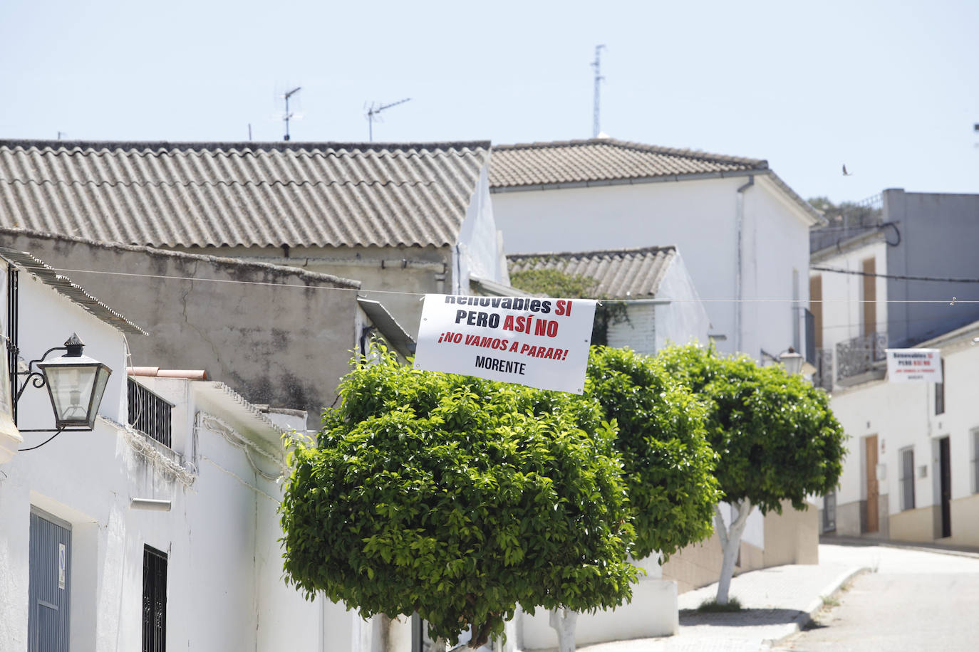 El paisaje de miles de olivos que arrasarían las placas solares en el Alto Guadalquivir, en imágenes