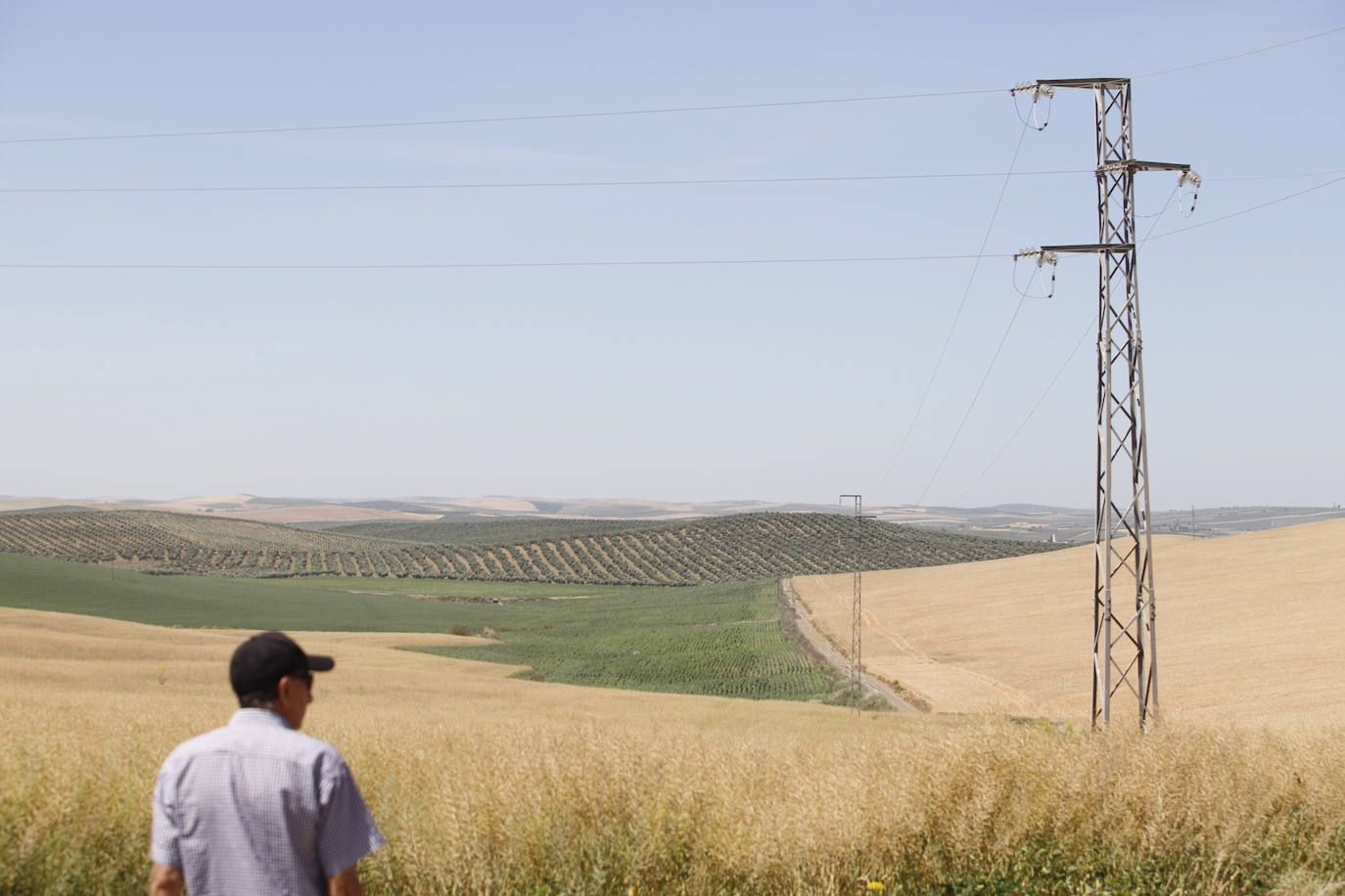 El paisaje de miles de olivos que arrasarían las placas solares en el Alto Guadalquivir, en imágenes